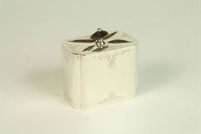 Scatola Porta Tž in Argento