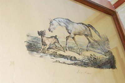 Litografia Raffigurante Cavalli