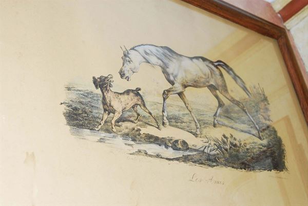 Litografia raffigurante cavalli