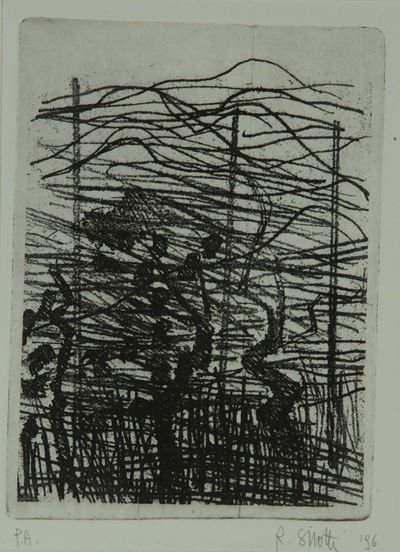 Raimondo Sirotti (1934)pergolato