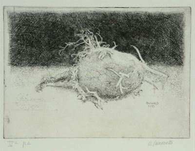 Oscar Saccorotti (1898-1986)patata con Germogli