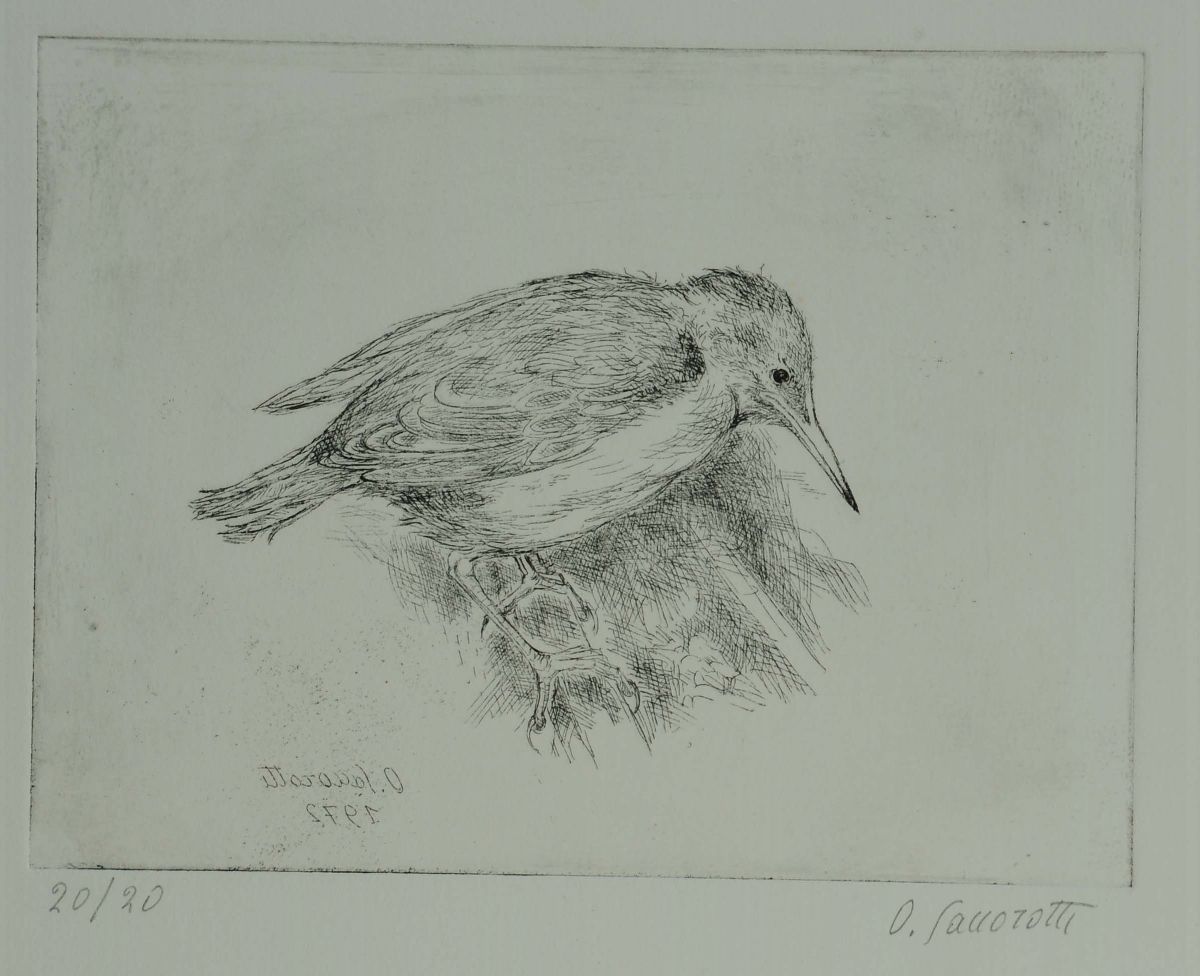 Oscar Saccorotti (1898-1986)uccellini