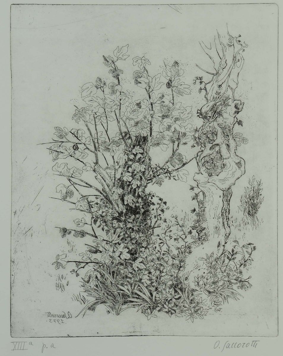 Oscar Saccorotti (1898-1986)arbustialberi