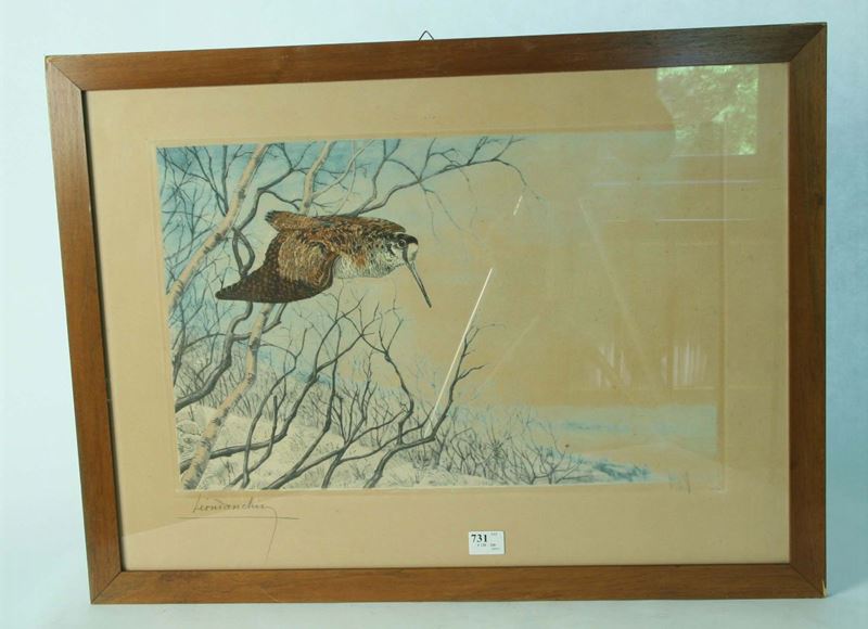 Litografia francese raffigurante uccello su ramo, XIX secolo  - Auction House Sale Villa la Femara - Cambi Casa d'Aste