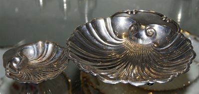 Due Conchiglie in Argento Sterling Diverse