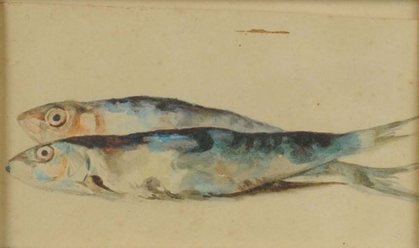 Edoardo Dalbono (1841-1915) Studio di pesci