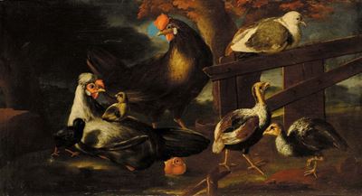 Angelo Maria Crivelli Detto il Crivelloneanimali da Cortile