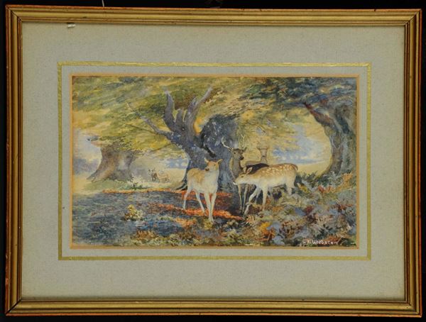 Ceuebster Bosco con cerbiatti