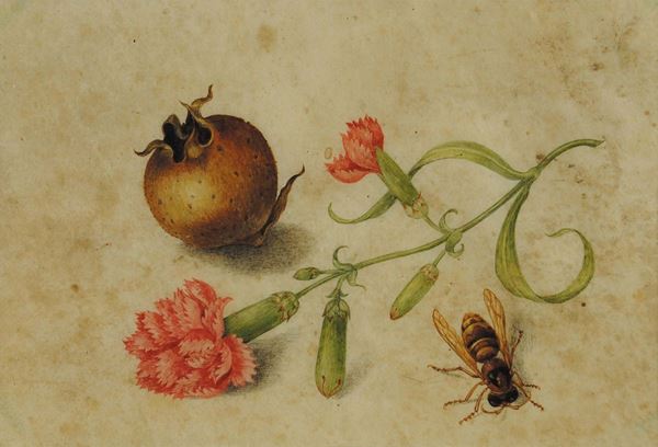 Scuola Italiana del XVII secolo Natura morta con ape, nespolo selvatico e garofano