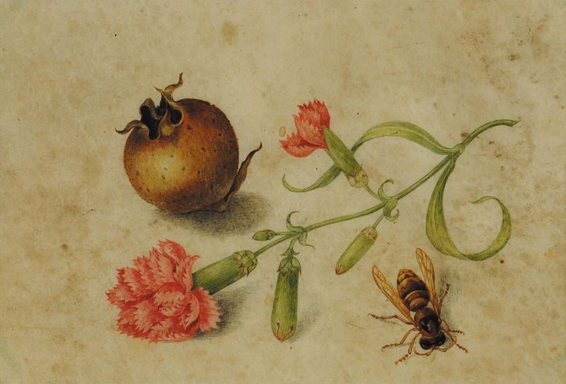 Scuola Italiana del XVII secolo Natura morta con ape, nespolo selvatico e garofano  - Asta Antiquariato, Argenti e Dipinti Antichi - Cambi Casa d'Aste